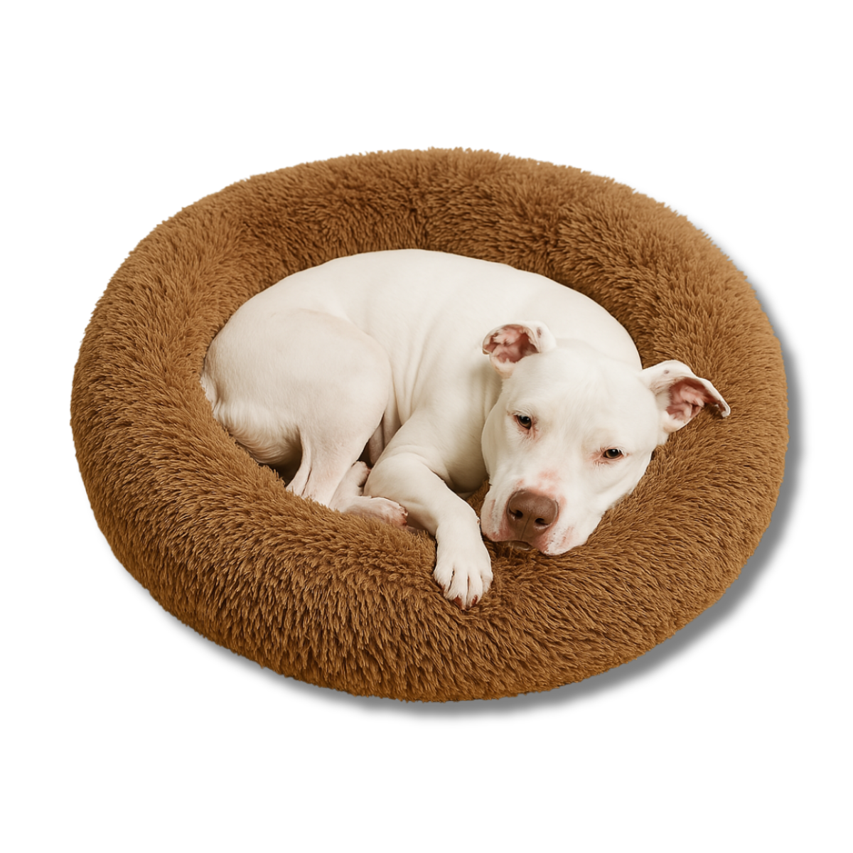 Comfortable Dog Mattress with Removable Cover & Waterproof Layer