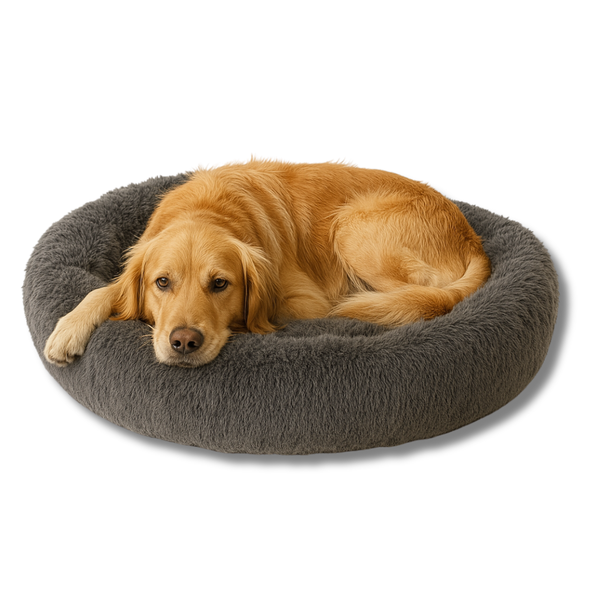 Comfortable Dog Mattress with Removable Cover & Waterproof Layer