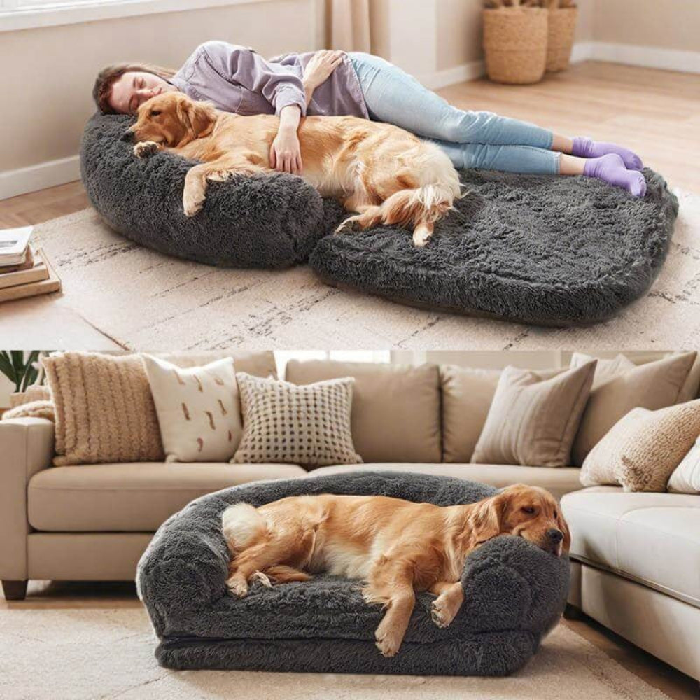 Comfy Deluxe Pet and Owner Sleeping Bed - Peties