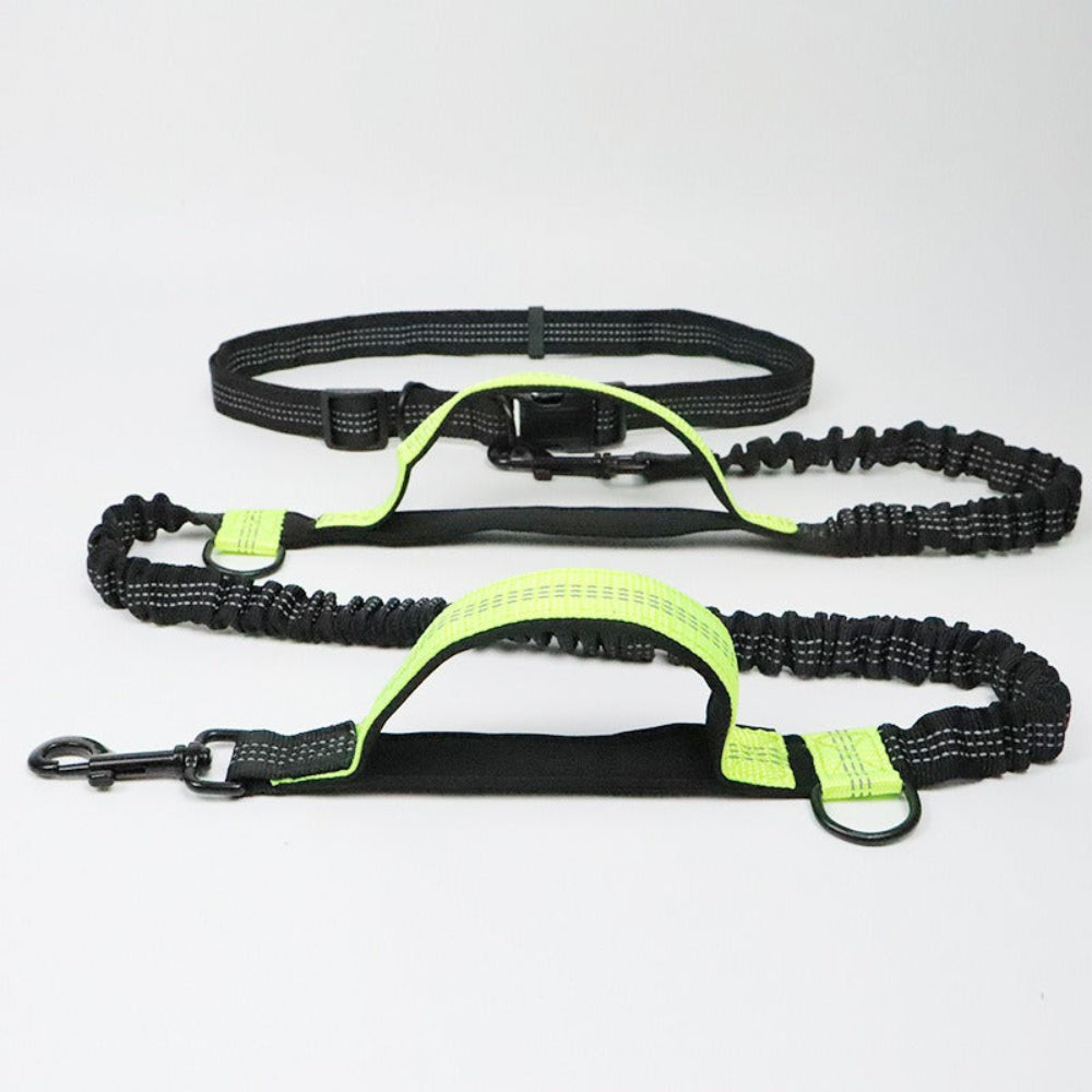 Versatile No-Tangle Dog Leash with Car Safety Harness