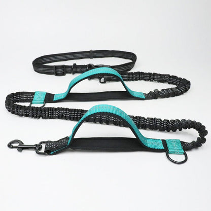 Versatile No-Tangle Dog Leash with Car Safety Harness