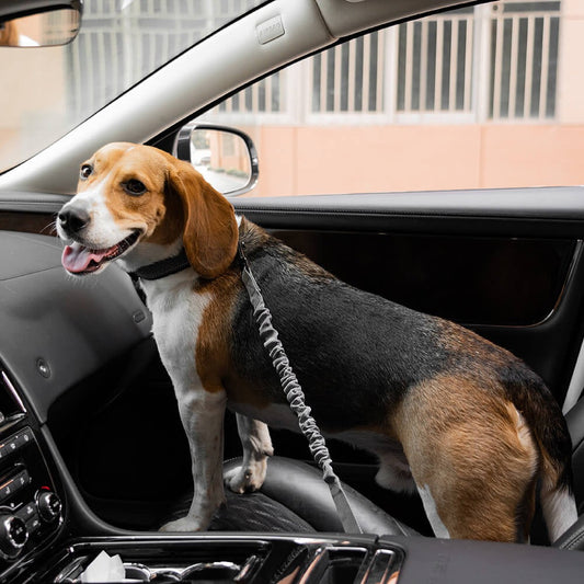 Secure Pet Car Harness Belt - Peties