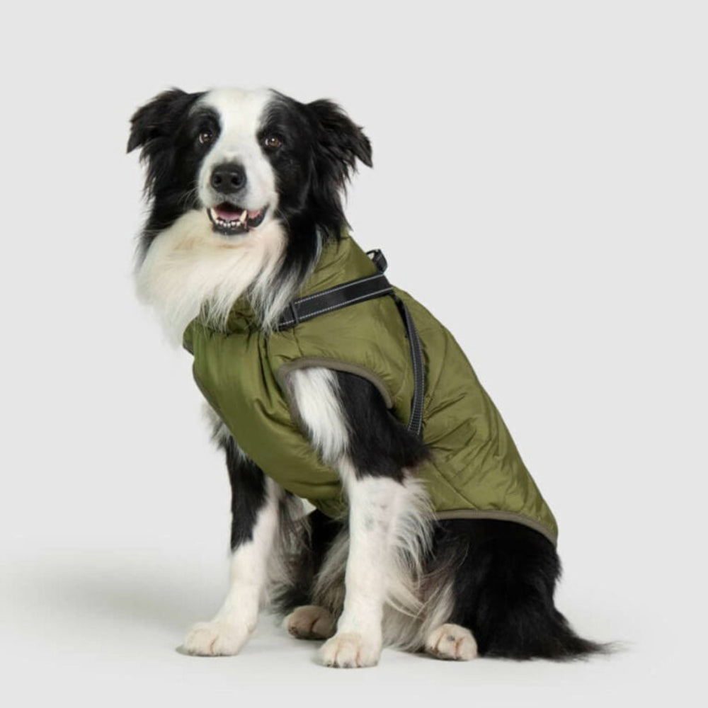 Rainproof Pet Coat with Built-in Harness - Peties