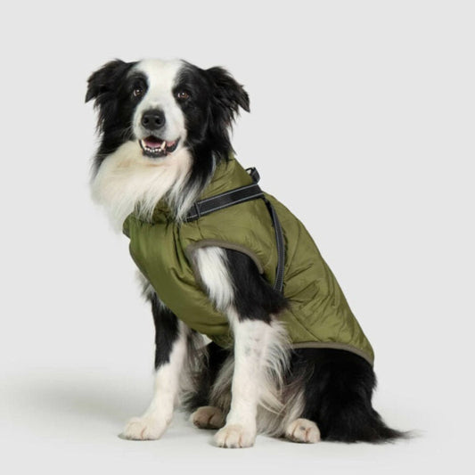 Rainproof Pet Coat with Built-in Harness - Peties