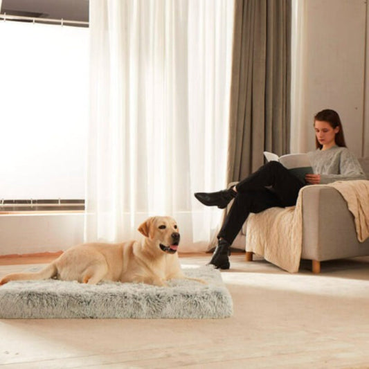 Comfortable Supportive Orthopedic Dog Bed Mattress - Peties