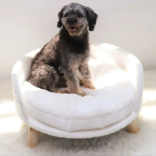 Comfy Circular Cushion Pet Bed Seat - Peties