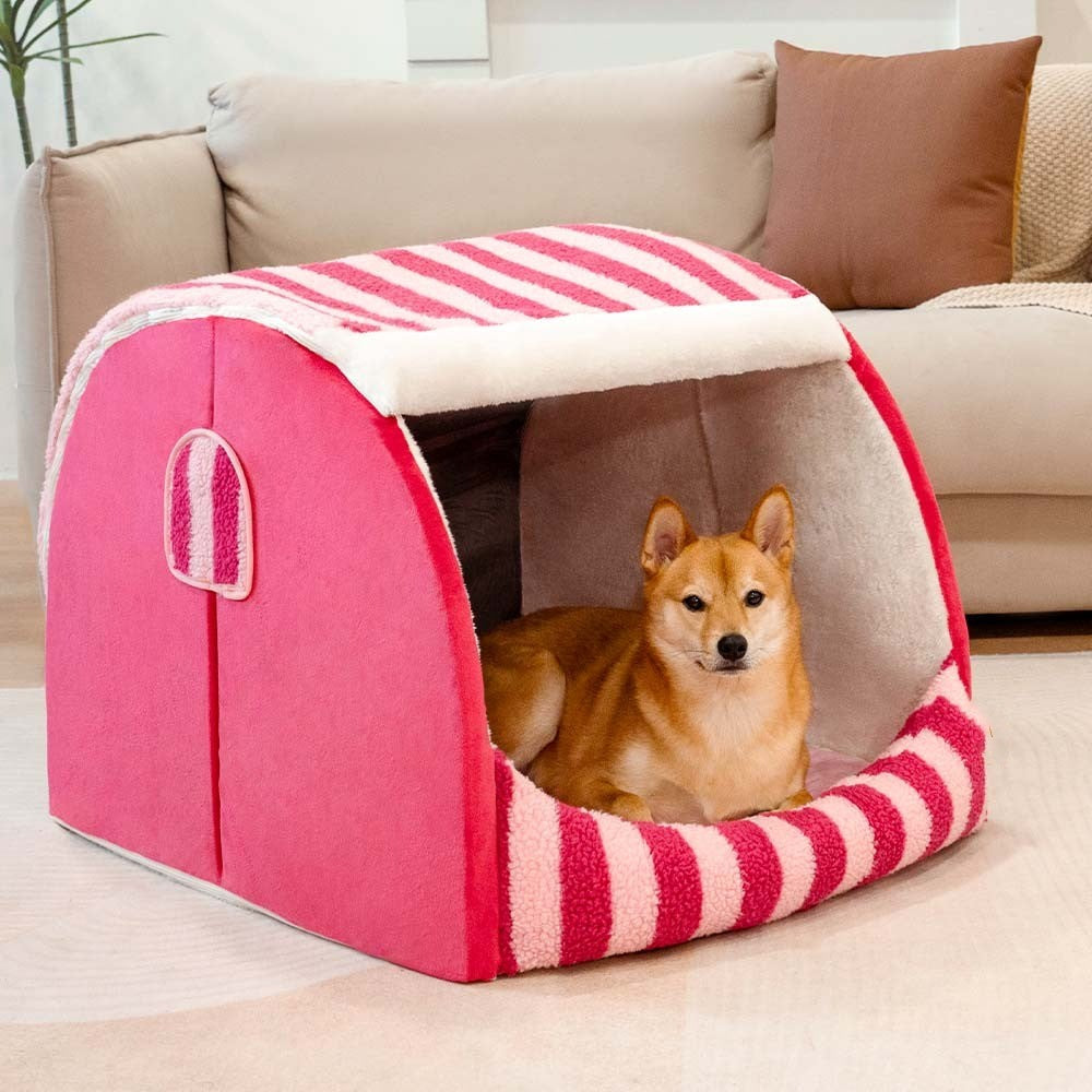 Comfortable Patterned Supportive Pet Bed
