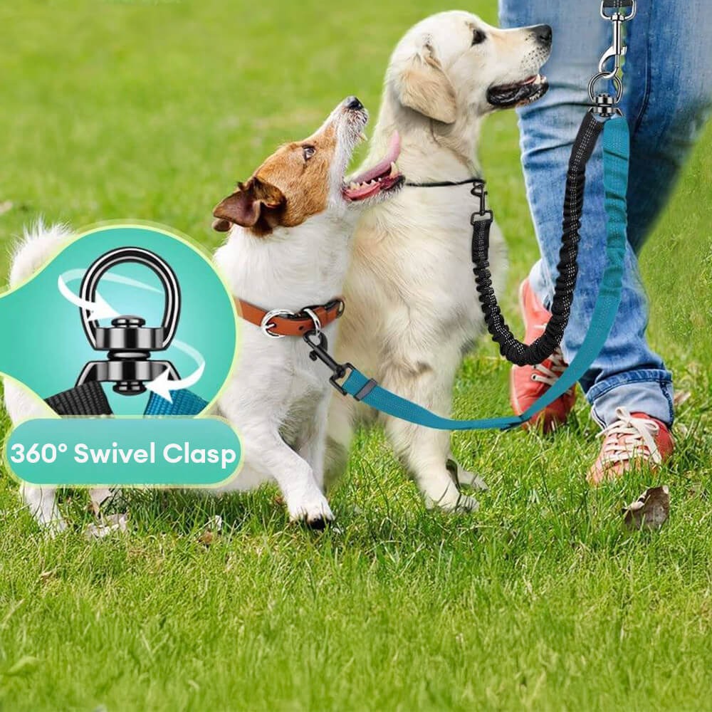 Comfortable Double Dog Leash with Bungee and Tangle Free Design - Peties