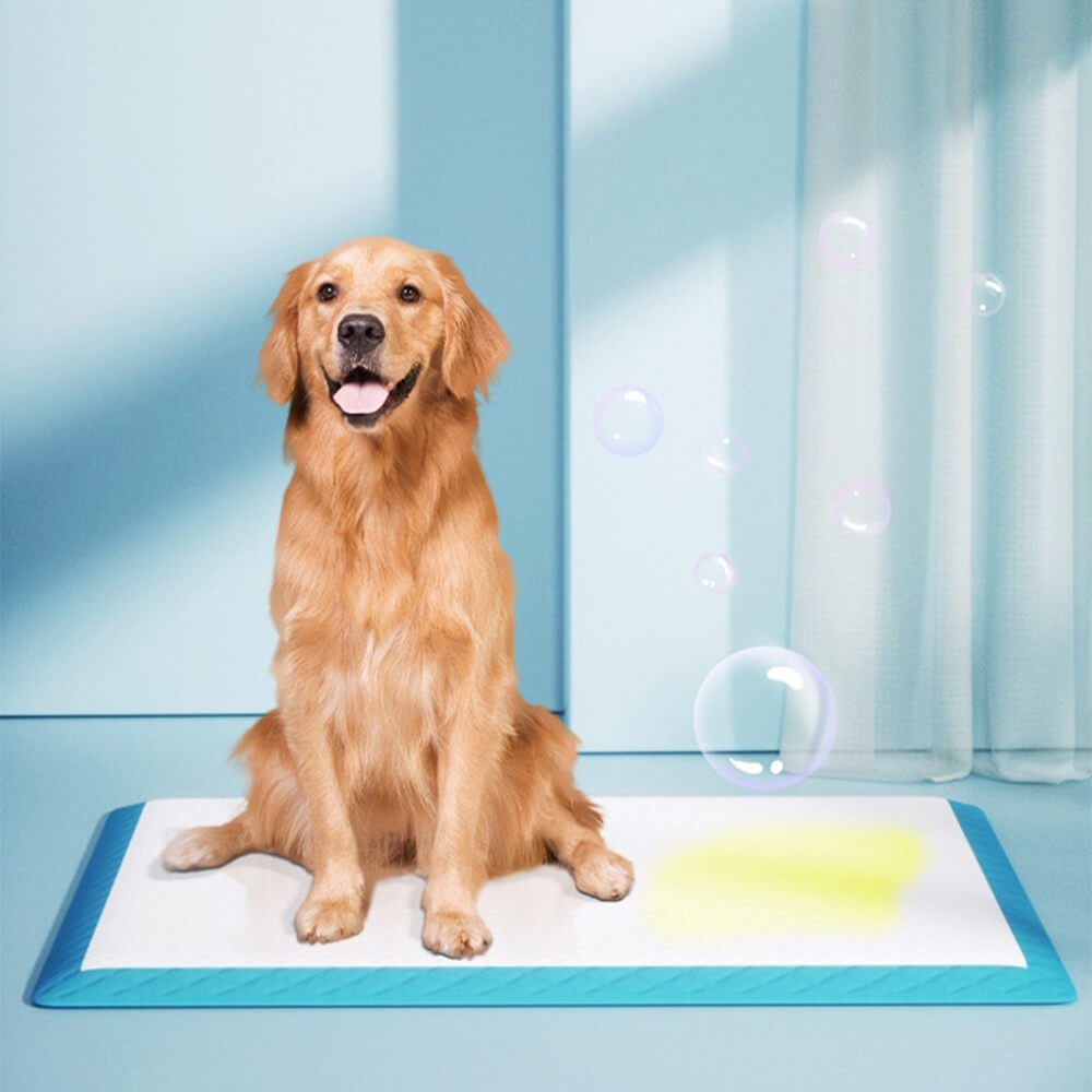 Pet Puppy Training Pads Leak Proof and Absorbent - Peties
