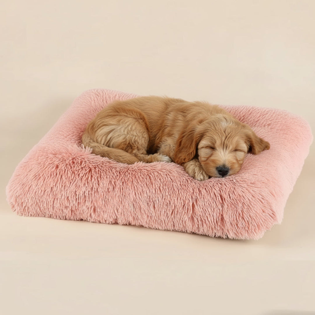Plush Pet Bed – Cozy Orthopedic Dog Mattress